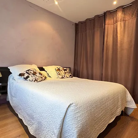 T2 à Avec Garage Privé Et Wifi, Proche Des Thermes - Fr-1-555-104 * Aix-les-Bains