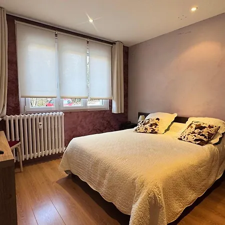 公寓 T2 Lumineux Avec Garage Et Wifi A - Fr-1-555-104 艾克斯莱班