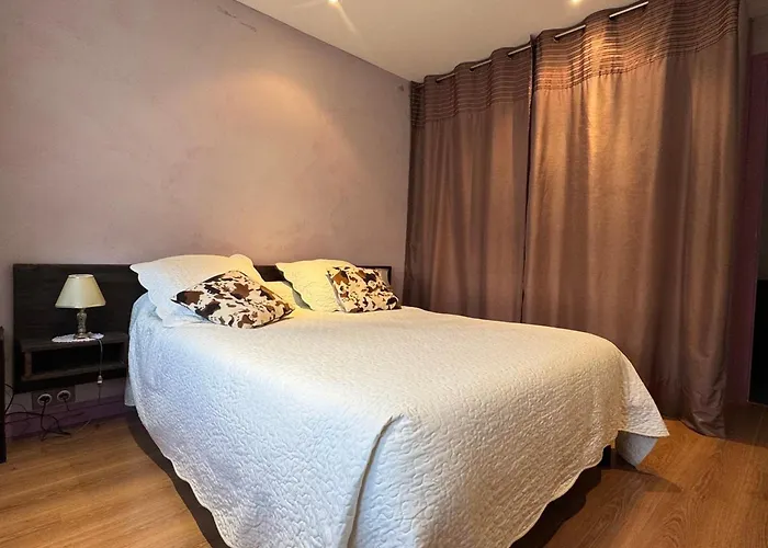 T2 Lumineux Avec Garage Et Wifi A - Fr-1-555-104 * Aix-les-Bains