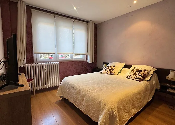 Apartment T2 Lumineux Avec Garage Et Wifi A - Fr-1-555-104 Aix-les-Bains