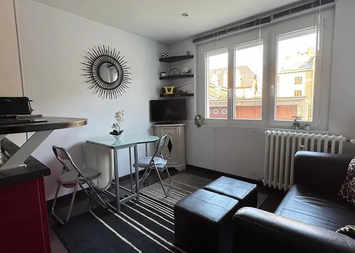 T2 Lumineux Avec Garage Et Wifi A - Fr-1-555-104 * Aix-les-Bains